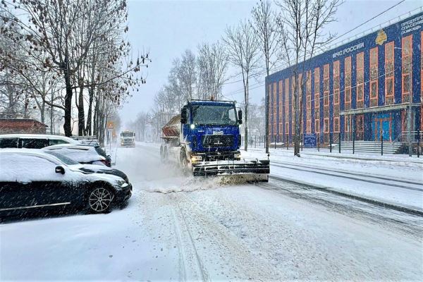 В ЕАО за сутки выпало 135 процентов месячной нормы снега